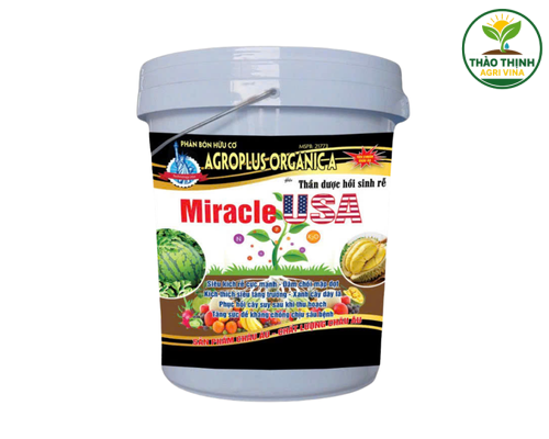 Miracle USA (Phân bón hữu cơ Agroplus Organica)