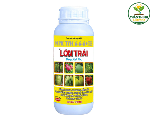 NPK TYM 6-6-6+TE LỚN TRÁI