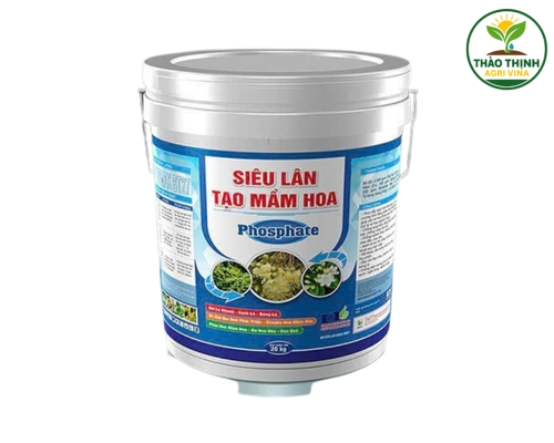 SIÊU LÂN TẠO MẦM HOA (Phosphate)