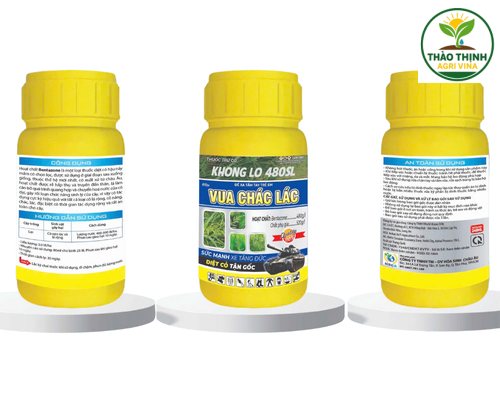 KHONG LO 480SL HIỆU VUA CHÁC LÁC