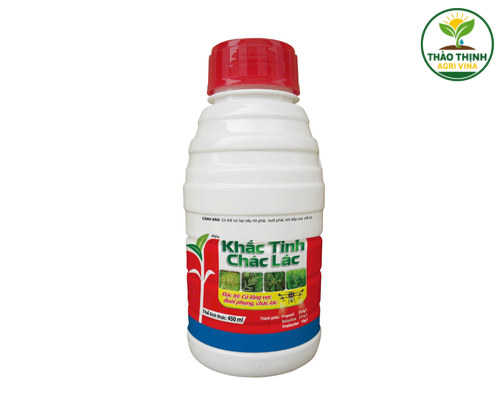 HIỆU KHẮC TINH CHÁC LÁC