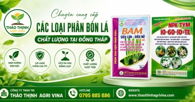 chuyen-cung-cap-cac-loai-phan-bon-la-chat-luong-tai-dong-thap-giai-phap-dinh-duong-toan-dien-cho-cay-trong