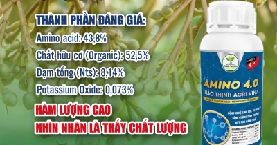 vi-sao-lam-bong-sau-rieng-khong-dat-nguyen-nhan-va-cach-khac-phuc