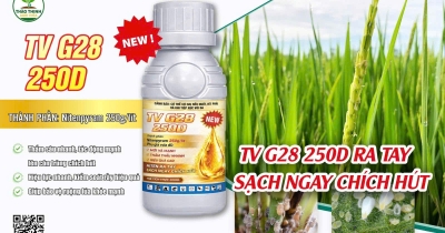 bien-phap-phong-tri-ray-nau-hai-lua-hieu-qua