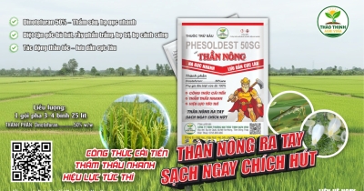 bu-hut-hai-lua-va-giai-phap-quan-ly-hieu-qua