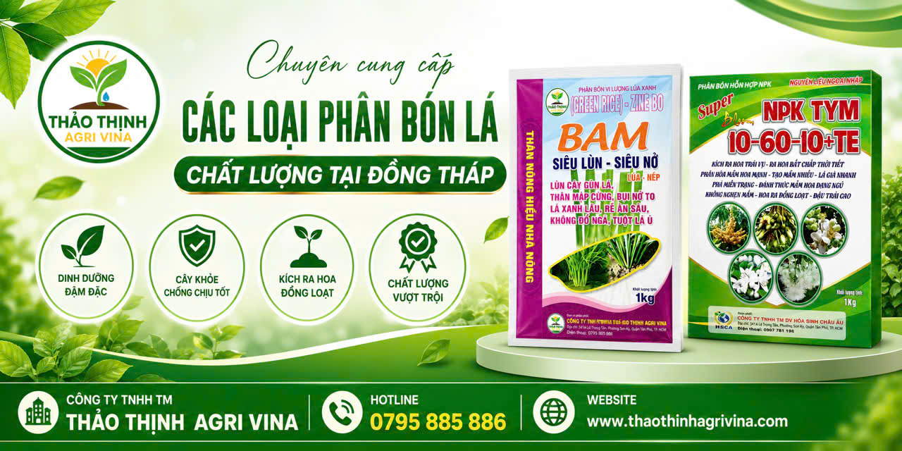 Chuyên Cung Cấp Các Loại Phân Bón Lá Chất Lượng Tại Đồng Tháp