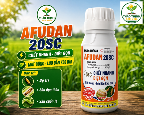 AFUDAN 20SC