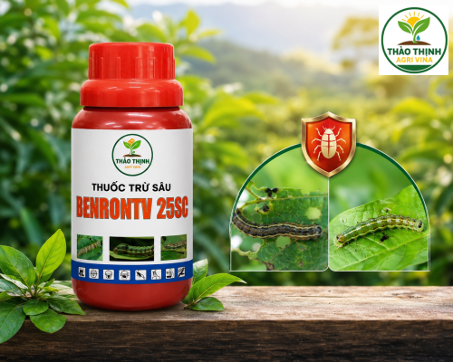 Thuốc trừ rầy