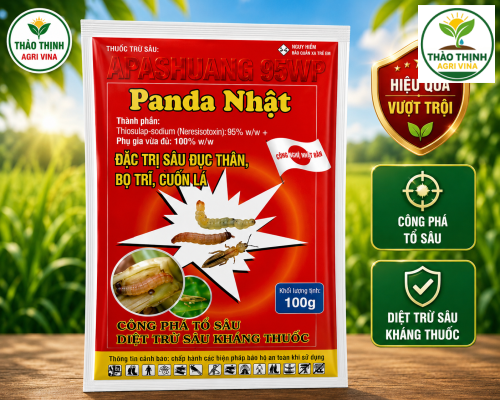 panda-nhat-apashuang-95wp