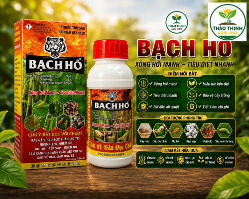 BẠCH HỔ